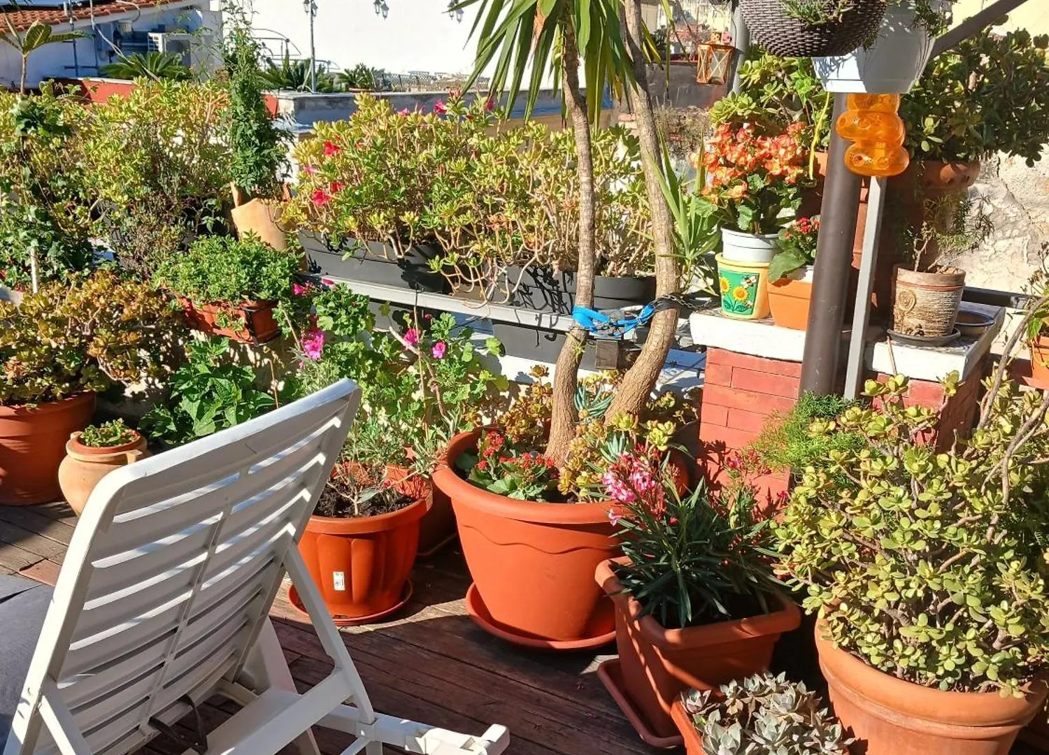 La Terrazza Ai Miracoli Bed and Breakfast Napoli